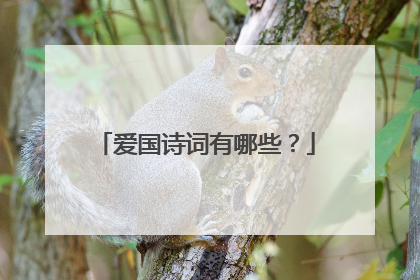 爱国诗词有哪些？