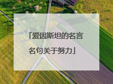 爱因斯坦的名言名句关于努力