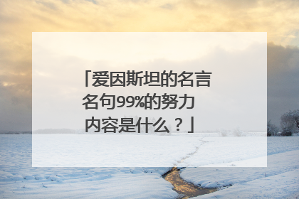 爱因斯坦的名言名句99%的努力内容是什么？