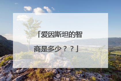 爱因斯坦的智商是多少??