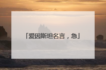 爱因斯坦名言,急