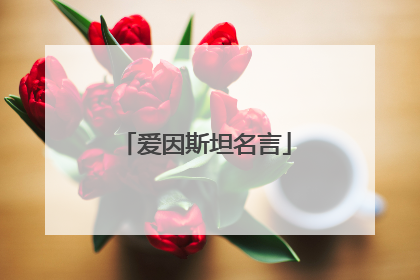 爱因斯坦名言