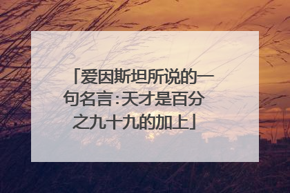 爱因斯坦所说的一句名言:天才是百分之九十九的加上