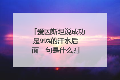 爱因斯坦说成功是99%的汗水后面一句是什么?