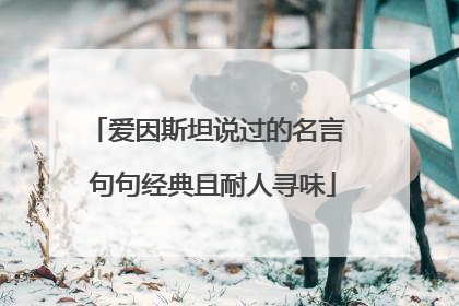 爱因斯坦说过的名言 句句经典且耐人寻味