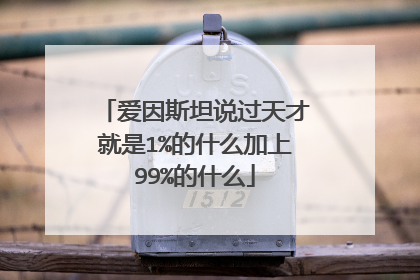 爱因斯坦说过天才就是1%的什么加上99%的什么