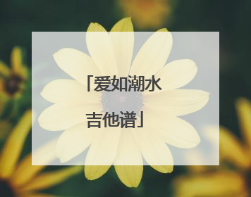 爱如潮水吉他谱