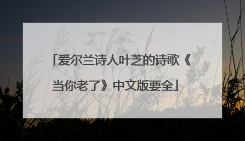 爱尔兰诗人叶芝的诗歌《当你老了》中文版要全