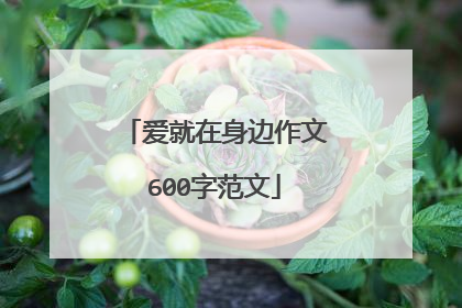 爱就在身边作文600字范文