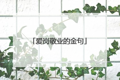 爱岗敬业的金句