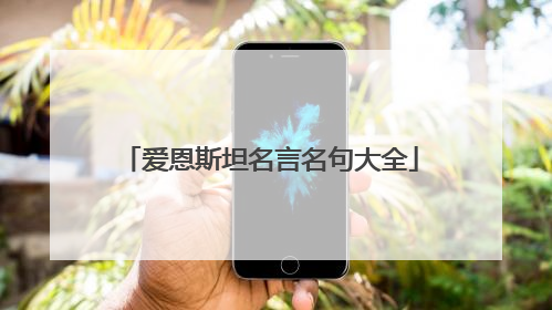 爱恩斯坦名言名句大全