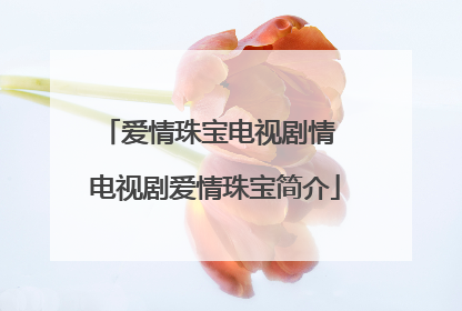 爱情珠宝电视剧情 电视剧爱情珠宝简介