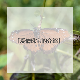 爱情珠宝的介绍