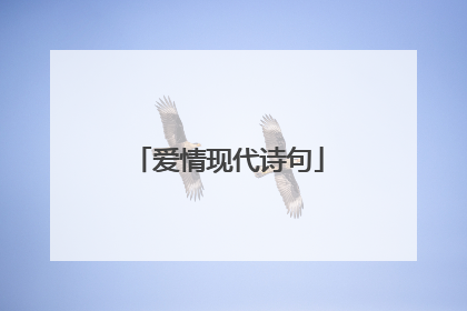 爱情现代诗句