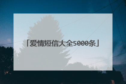 爱情短信大全5000条