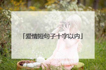 爱情短句子十字以内