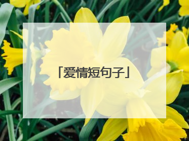 爱情短句子