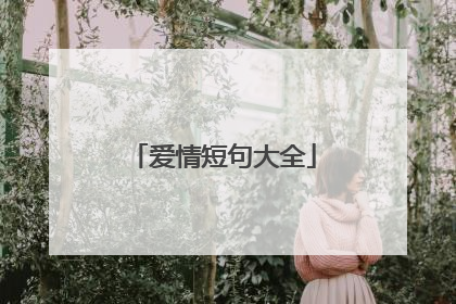 爱情短句大全