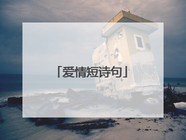 爱情短诗句