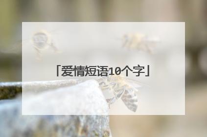 爱情短语10个字