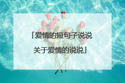 爱情的短句子说说 关于爱情的说说