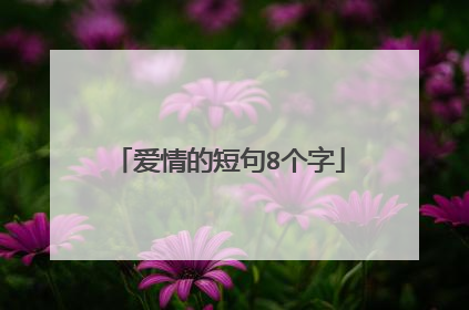 爱情的短句8个字