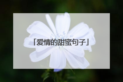 爱情的甜蜜句子