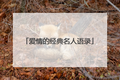 爱情的经典名人语录