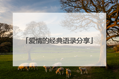 爱情的经典语录分享