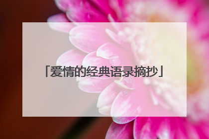 爱情的经典语录摘抄