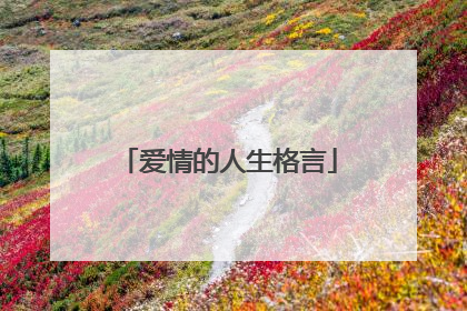 爱情的人生格言