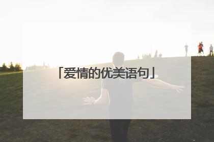 爱情的优美语句