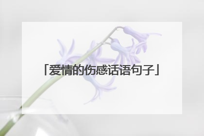 爱情的伤感话语句子