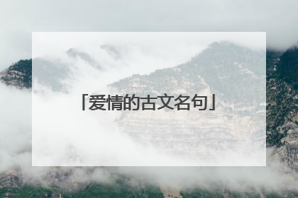 爱情的古文名句