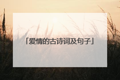 爱情的古诗词及句子