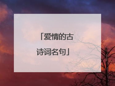 爱情的古诗词名句
