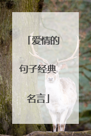 爱情的句子经典名言