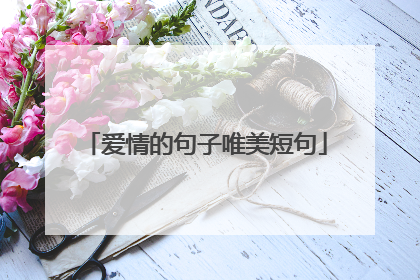 爱情的句子唯美短句