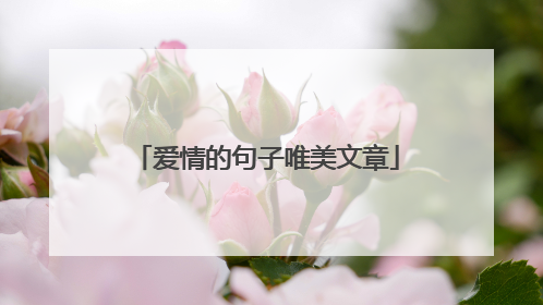 爱情的句子唯美文章