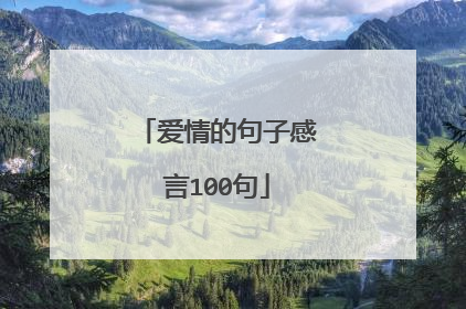 爱情的句子感言100句