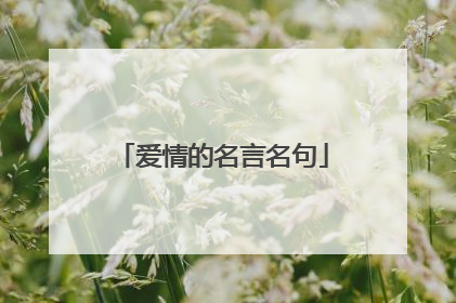 爱情的名言名句