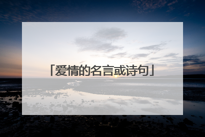 爱情的名言或诗句