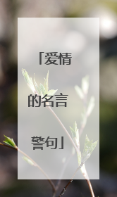 爱情的名言警句