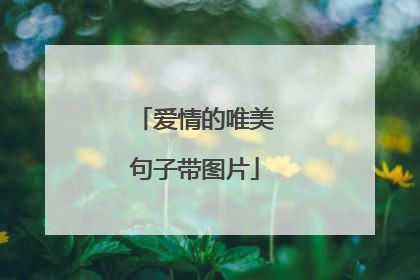 爱情的唯美句子带图片