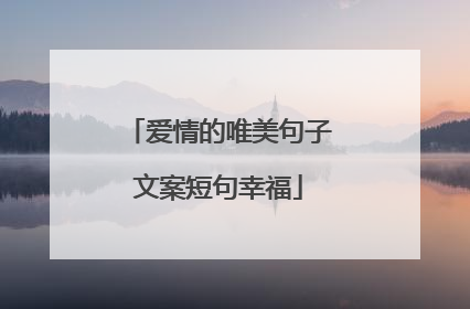 爱情的唯美句子文案短句幸福