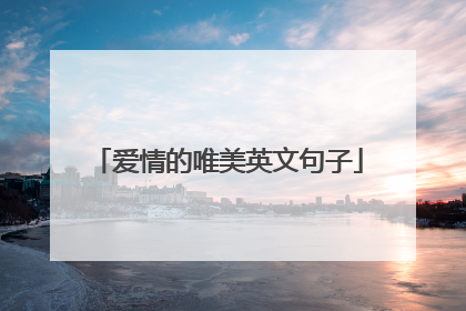 爱情的唯美英文句子