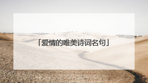 爱情的唯美诗词名句