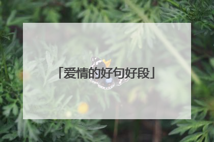 爱情的好句好段