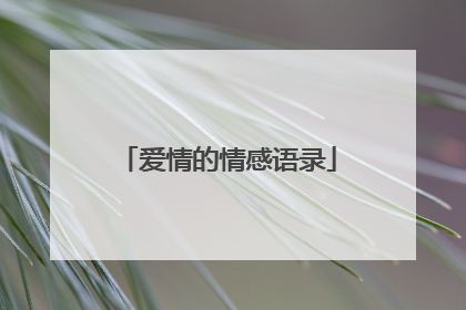 爱情的情感语录