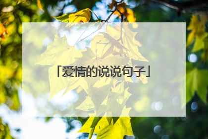 爱情的说说句子